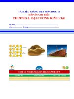 Dap an chi tiet chuong 6 hoa 12 chuong trinh moi dai cuong ve kim loai