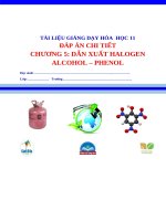 Dap an chi tiet chuong 5 hoa 11 chuong trinh moi dan xuat halogen   alcohol   phenol