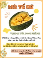 Tờ rơi giới thiệu về Mít Tố Nữ - Ngữ Văn 9 CTST tập 2