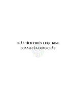 Phân tích chiến lược kinh doanh của Long Châu