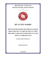 Phân tích hoạt động IPO trên sàn chứng khoán Hoa Kỳ của một số công ty và giải pháp phù hợp cho Công ty TNHH RCE-VINA