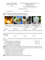 2028  tây tiền hải   thái bình