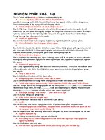 Đề plđc (3)