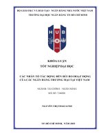 Các nhân tố tác Động Đến rủi ro hoạt Động của các ngân hàng thương mại tại việt nam