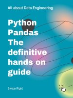 Python pandas analysis