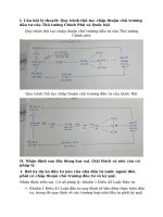 Bài tập luật Đầu tư 1