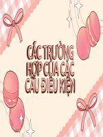 Các Trường Hợp Của Các Câu Điều Kiện.pdf