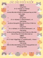Các Câu Điều Kiện.pdf