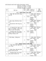 Kế hoạch dạy học môn Âm nhạc lớp 9