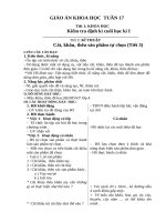 Giáo án lớp 4 tuần 17