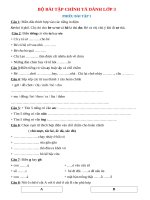 L3  35 phiếu bài tập chính tả (1)