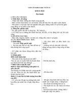 Giáo Án lớp 4 tuần 21