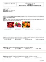 Le ngoc anh  304662297 07 09 2024 test result