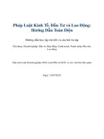 Hướng dẫn học Chuyên Đề 1  pháp luật kinh tế Ôn thi cpa 2025