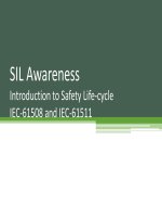 430723314 sil awarness pptx