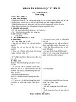 Giáo Án lớp 4 tuần 23