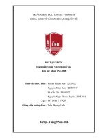 Bài tập nhóm học phần công ty xuyên quốc gia