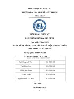 Phân tích, bình luận bản Án về việc tranh chấp hôn nhân và gia Đình