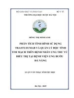 Hồng thị minh anh phân tích tình hình sử dụng trastuzumab và quản lý Độc tính tim mạch trên bệnh nhân ung thư vú Điều trị tại bệnh viện ung bướu Đà nẵng luận văn thạc sĩ dược học