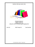 Tuần 29 loan
