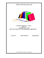 Tuần 11 loan