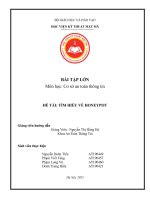 Bài tập lớn môn học cơ sở an toàn thông tin Đề tài tìm hiểu về honeypot