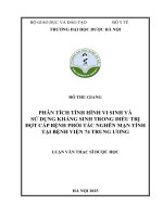 Đỗ thu giang phân tích tình hình vi sinh và sử dụng kháng sinh trong Điều trị Đợt cấp bệnh phổi tắc nghẽn mạn tính tại bệnh viện 74 trung Ương luận văn thạc sĩ dược học