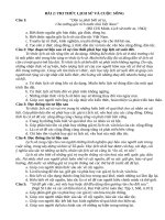 Bài 2   sử 10  nguyễn cảnh