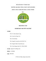 Bài báo cáo seminar chuyên ngành