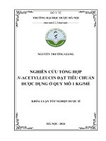 Nguyễn trường giang nghiên cứu tổng hợp n acetylleucin Đạt tiêu chuẩn dược dụng Ở quy mô 1 kgmẻ khóa luận tốt nghiệp dược sĩ