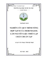 Ngô Đức huy nghiên cứu quy trình tổng hợp tạp d của mebendazol làm nguyên liệu thiết lập chất chuẩn tạp luận văn thạc sĩ dược học