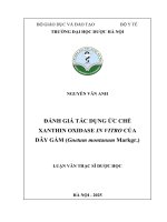 Nguyễn văn anh Đánh giá tác dụng Ức chế xanthin oxidase in vitro của dây gắm (gnetum montanum markgr ) luận văn thạc sĩ dược học