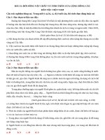 Cau hoi dung sai bai 13 lich su 10