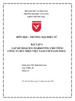 Bài tập 4 lập kế hoạch e marketing cho tổng công ty bưu Điện việt nam (vietnam post)