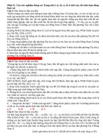 Bài 5 sử 11 hoàng thị dinh