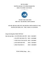 Chủ Đề mối quan hệ giữa thị trường chứng khoán và thị trường bất dộng sản – thực trạng và giải pháp