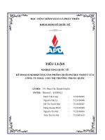 Tiểu luận marketing quốc tế kế hoạch marketing sản phẩm chuối pleiku sweet của công ty hagl vào thị trường trung quốc