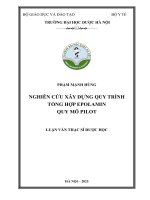 Phạm mạnh hùng nghiên cứu xây dựng quy trình tổng hợp epolamin quy mô pilot luận văn thạc sĩ dược học