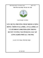Cao ngọc cương xây dựng phương pháp Định lượng Đồng thời enalapril, enalaprilat và hydroclorothiazid trong huyết tương người bằng sắc ký lỏng khối phổ (lc msms) luận văn thạc sĩ dược học