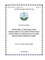 Nguyễn gia phát tổng hợp và thử hoạt tính kháng khuẩn của một số dẫn chất lưỡng phần cation mang cấu trúc benzylidenaminoguanidin luận văn thạc sĩ dược học