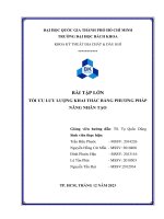 Bài tập lớn tối Ưu lưu lượng khai thác bằng phương pháp nâng nhân tạo