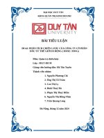 Đề tài phân tích chiến lược của công ty cổ phần Đầu tư thế giới di Động ( hose mwg)
