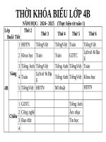 Tkb khối 4 b ( 24 25)
