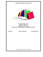 Tuần 27 loan