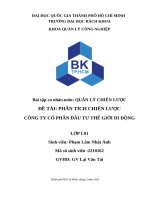 Bài tập cá nhân môn quản lý chiến lược Đề tài phân tích chiến lược công ty cổ phần Đầu tư thế giới di Động
