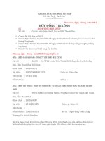 Ngọc sơn   công ty 822