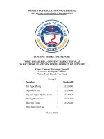 Topic establish a content marketing plan on facebook platform for 3h chicken on july 2025