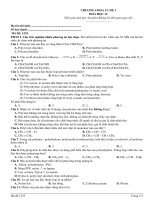 1235 9 bản (1)
