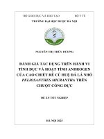 Nguyễn thị thùy dương Đánh giá tác dụng trên hành vi tình dục và hoạt tính androgen của cao chiết rễ củ huệ Đá lá nhỏ peliosanthes micrantha trên chuột cống Đực Đề Án tốt nghiệp