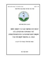 Đỗ phương loan biểu hiện và xác Định cơ chất của enzym cyp154c3 từ streptomyces cavourensis ybq59 tái tổ hợp trong e  coli luận văn thạc sĩ dược học